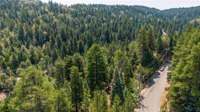 260 S Fairway Drive, Twin Peaks, CA 92391