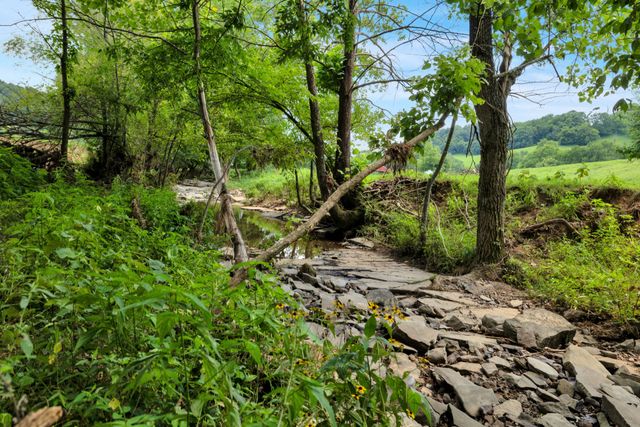 15085 Columbia Hwy, Lynnville, TN 38472