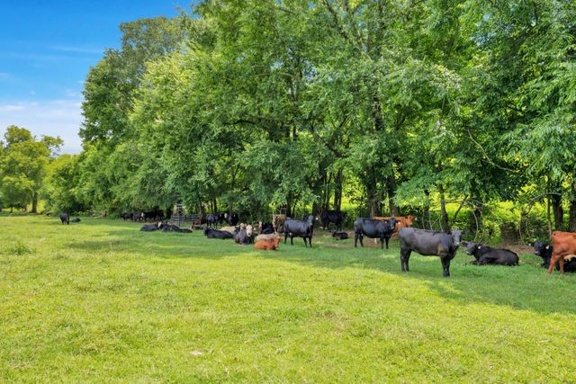 15085 Columbia Hwy, Lynnville, TN 38472