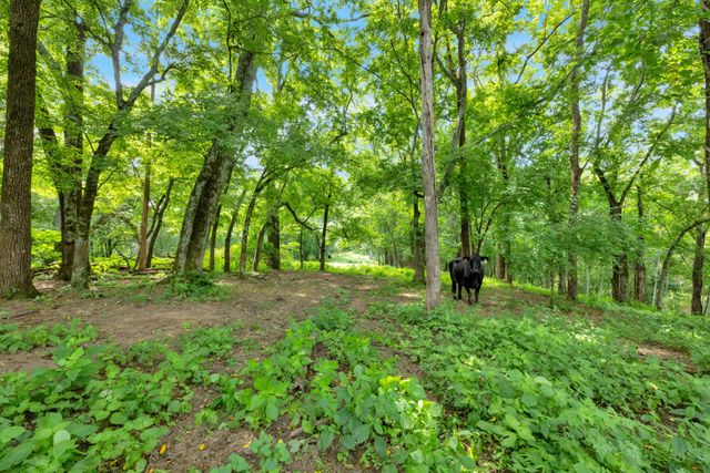 15085 Columbia Hwy, Lynnville, TN 38472