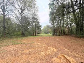10933 County Road 384, Tyler, TX 75708