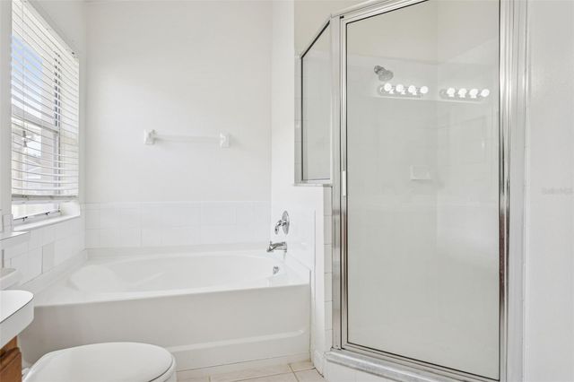 31351 KIRKSHIRE COURT, Wesley Chapel, FL 33543