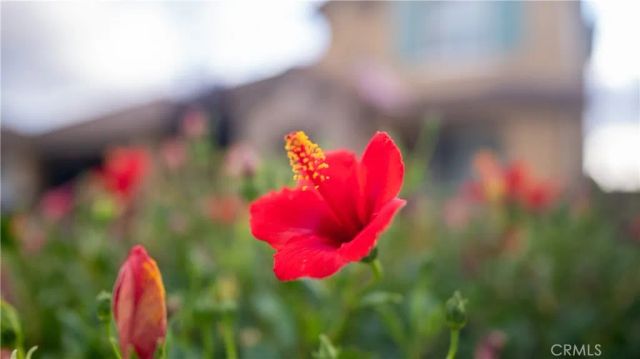 5212 Crimson Place, Rancho Cucamonga, CA 91739