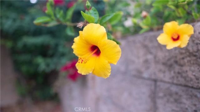 5212 Crimson Place, Rancho Cucamonga, CA 91739