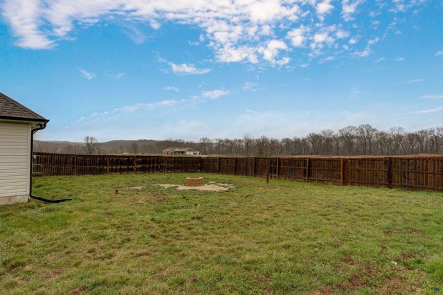 288 River Pass Drive, Marshfield, MO 65706