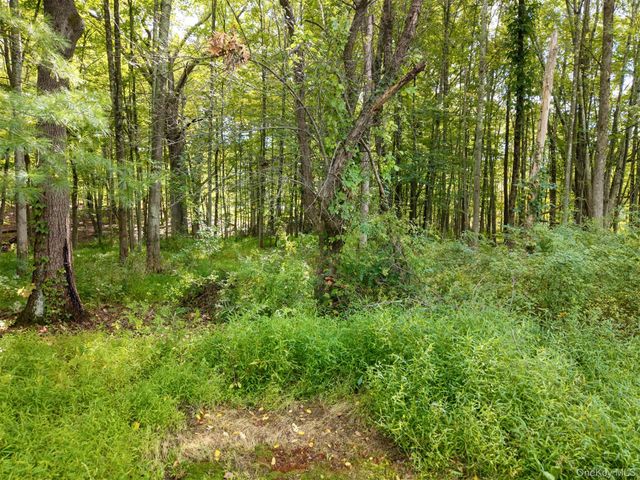 23 Maple Street, Esopus, NY 12471