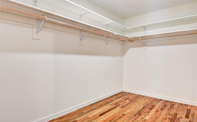 14 Black Gum Court, Newburgh, NY 12550