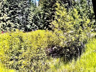2721 158th Avenue SW, Lakebay, WA 98340