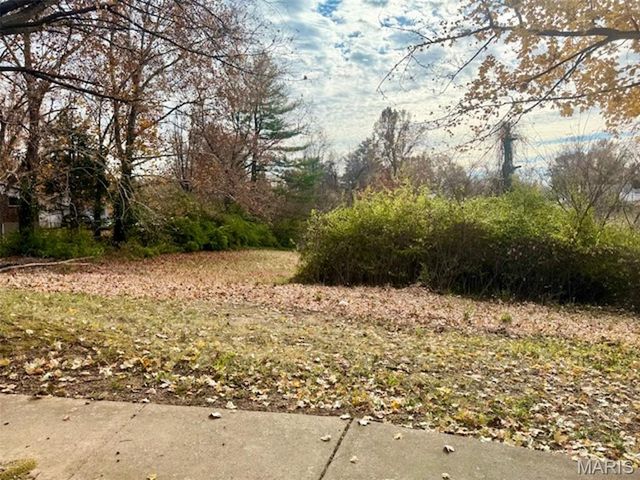 19 Bridekirk Court, Black Jack, MO 63033