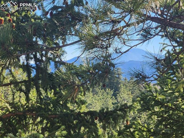 19340 Shadowood Drive, Monument, CO 80132