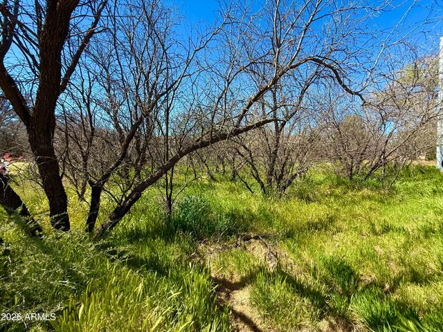 5360 N KRAMER Drive 425, Rimrock, AZ 86335
