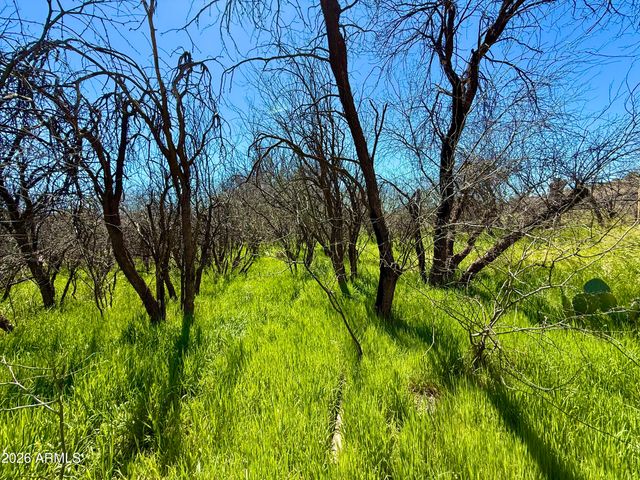 5360 N KRAMER Drive 425, Rimrock, AZ 86335