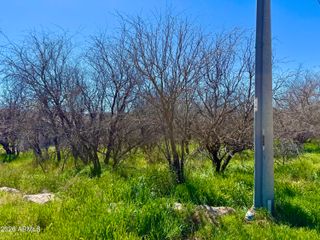5360 N KRAMER Drive 425, Rimrock, AZ 86335