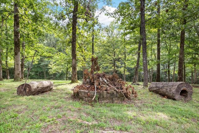 6400 Bakerville Rd, Waverly, TN 37185