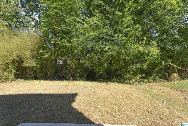 560 UNION STATION PLACE, Calera, AL 35040