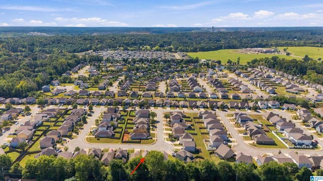 560 UNION STATION PLACE, Calera, AL 35040