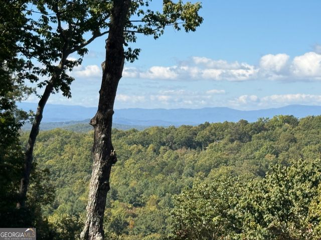 97 Deer Ridge, Morganton, GA 30560