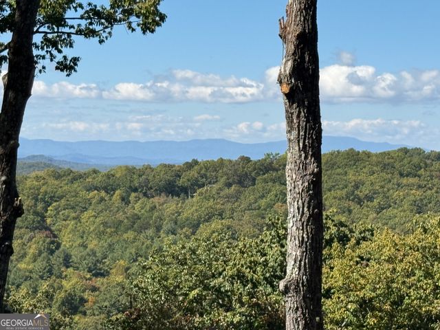 97 Deer Ridge, Morganton, GA 30560