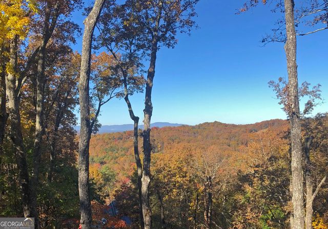 97 Deer Ridge, Morganton, GA 30560