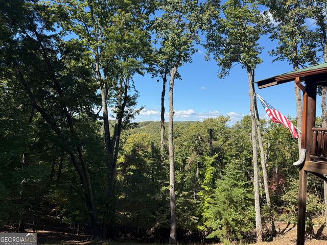 97 Deer Ridge, Morganton, GA 30560