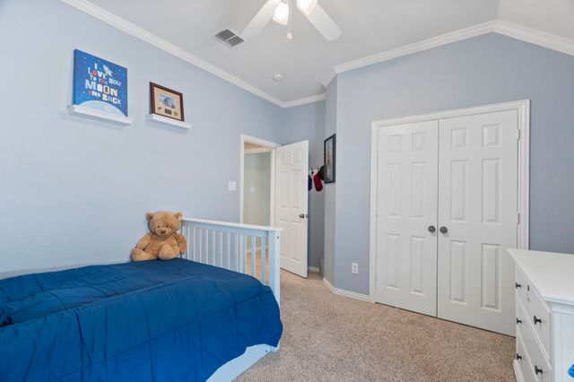 3245 White Spruce Drive, Frisco, TX 75033