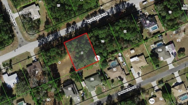 7953 N Golfview Drive, Citrus Springs, FL 34434