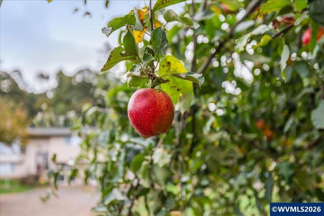 2398 Cole Rd S, Salem, OR 97306