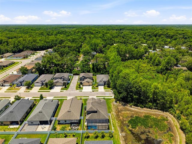 12307 NEWT COURT, New Port Richey, FL 34654