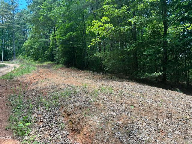 Lt 41 & 42 Smokey Hollow Drive, Murphy, NC 28906