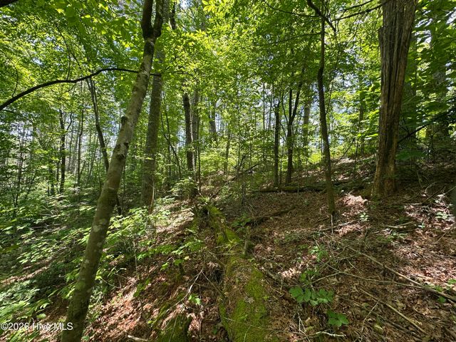 Lt 41 & 42 Smokey Hollow Drive, Murphy, NC 28906