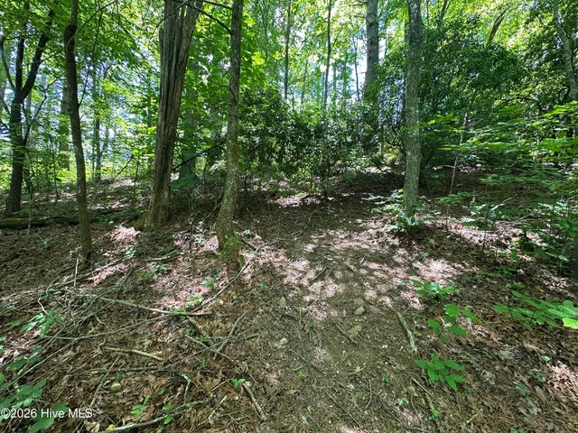 Lt 41 & 42 Smokey Hollow Drive, Murphy, NC 28906