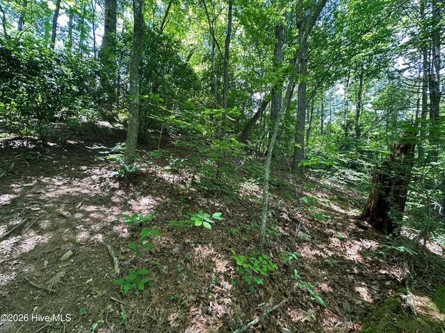 Lt 41 & 42 Smokey Hollow Drive, Murphy, NC 28906