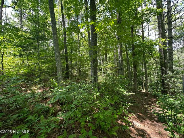 Lt 41 & 42 Smokey Hollow Drive, Murphy, NC 28906