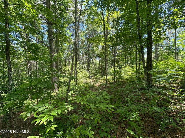 Lt 41 & 42 Smokey Hollow Drive, Murphy, NC 28906