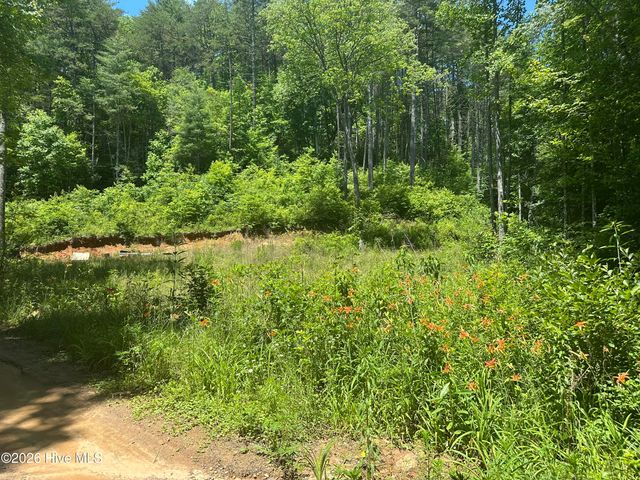 Lt 41 & 42 Smokey Hollow Drive, Murphy, NC 28906