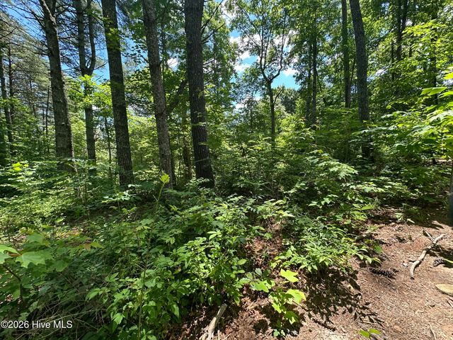 Lt 41 & 42 Smokey Hollow Drive, Murphy, NC 28906