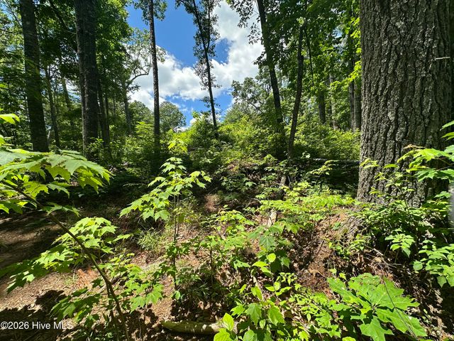 Lt 41 & 42 Smokey Hollow Drive, Murphy, NC 28906
