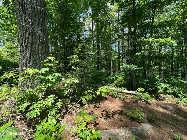 Lt 41 & 42 Smokey Hollow Drive, Murphy, NC 28906