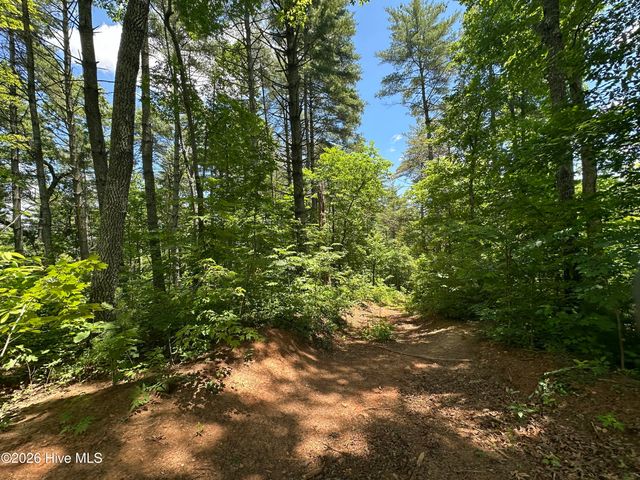Lt 41 & 42 Smokey Hollow Drive, Murphy, NC 28906