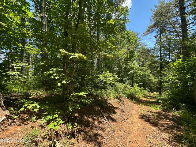 Lt 41 & 42 Smokey Hollow Drive, Murphy, NC 28906