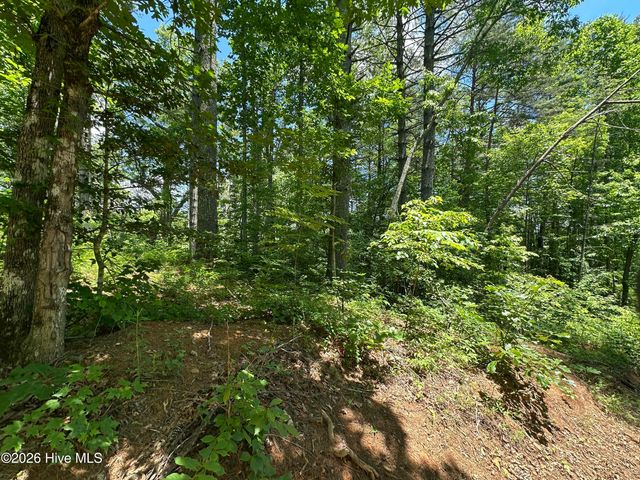 Lt 41 & 42 Smokey Hollow Drive, Murphy, NC 28906