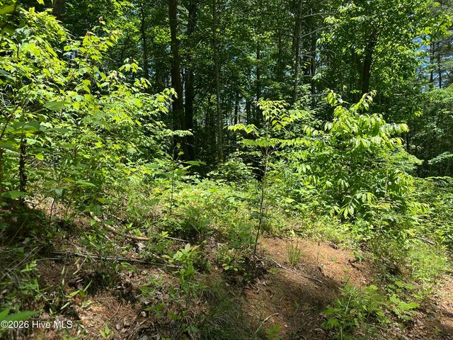 Lt 41 & 42 Smokey Hollow Drive, Murphy, NC 28906