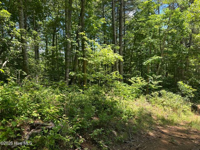 Lt 41 & 42 Smokey Hollow Drive, Murphy, NC 28906