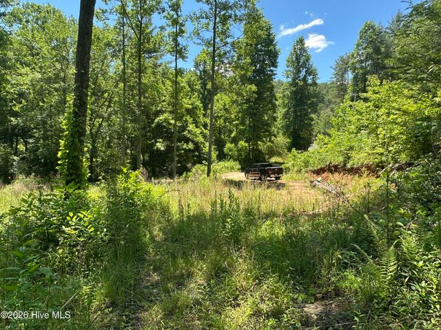 Lt 41 & 42 Smokey Hollow Drive, Murphy, NC 28906