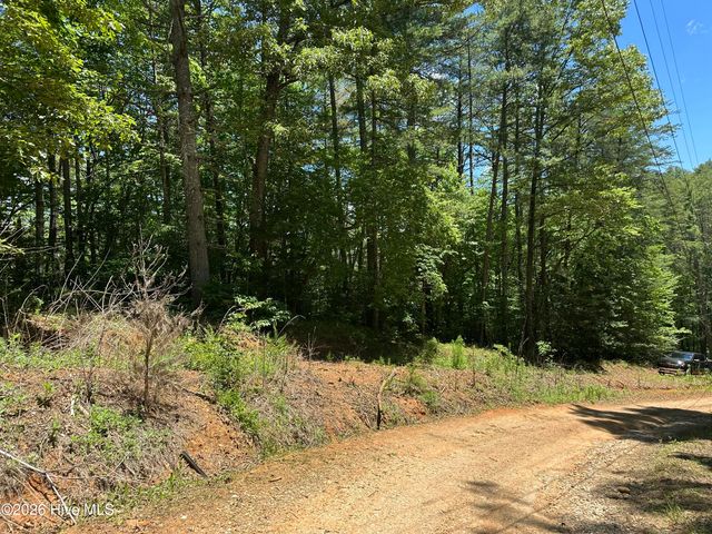 Lt 41 & 42 Smokey Hollow Drive, Murphy, NC 28906