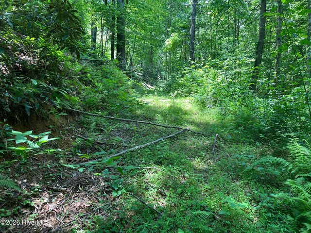 Lt 41 & 42 Smokey Hollow Drive, Murphy, NC 28906