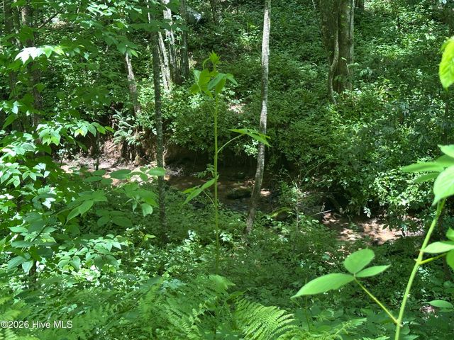 Lt 41 & 42 Smokey Hollow Drive, Murphy, NC 28906