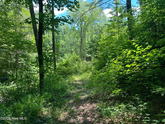 Lt 41 & 42 Smokey Hollow Drive, Murphy, NC 28906