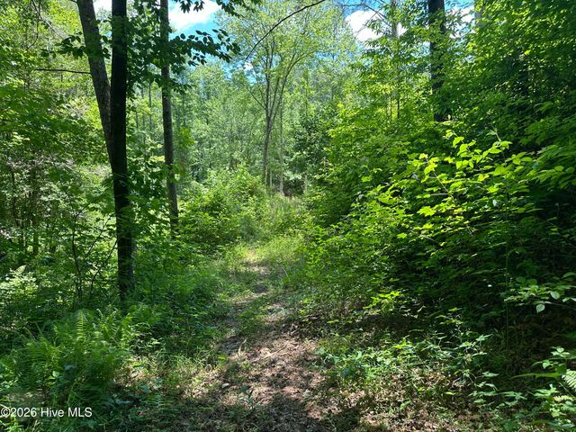 Lt 41 & 42 Smokey Hollow Drive, Murphy, NC 28906