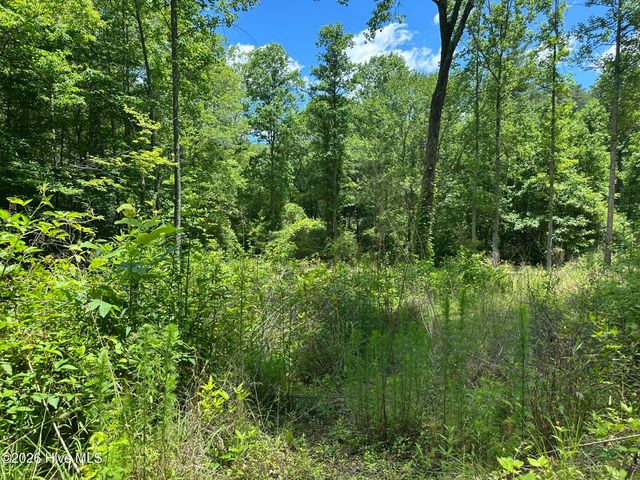 Lt 41 & 42 Smokey Hollow Drive, Murphy, NC 28906